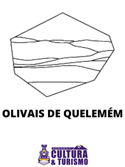 Olivais de QUELEMÉM 