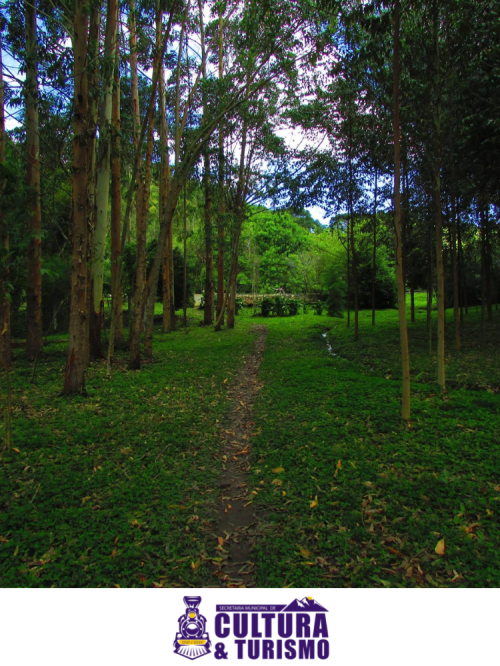 Hills